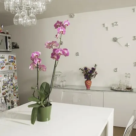 Appartement Cinque 2 *